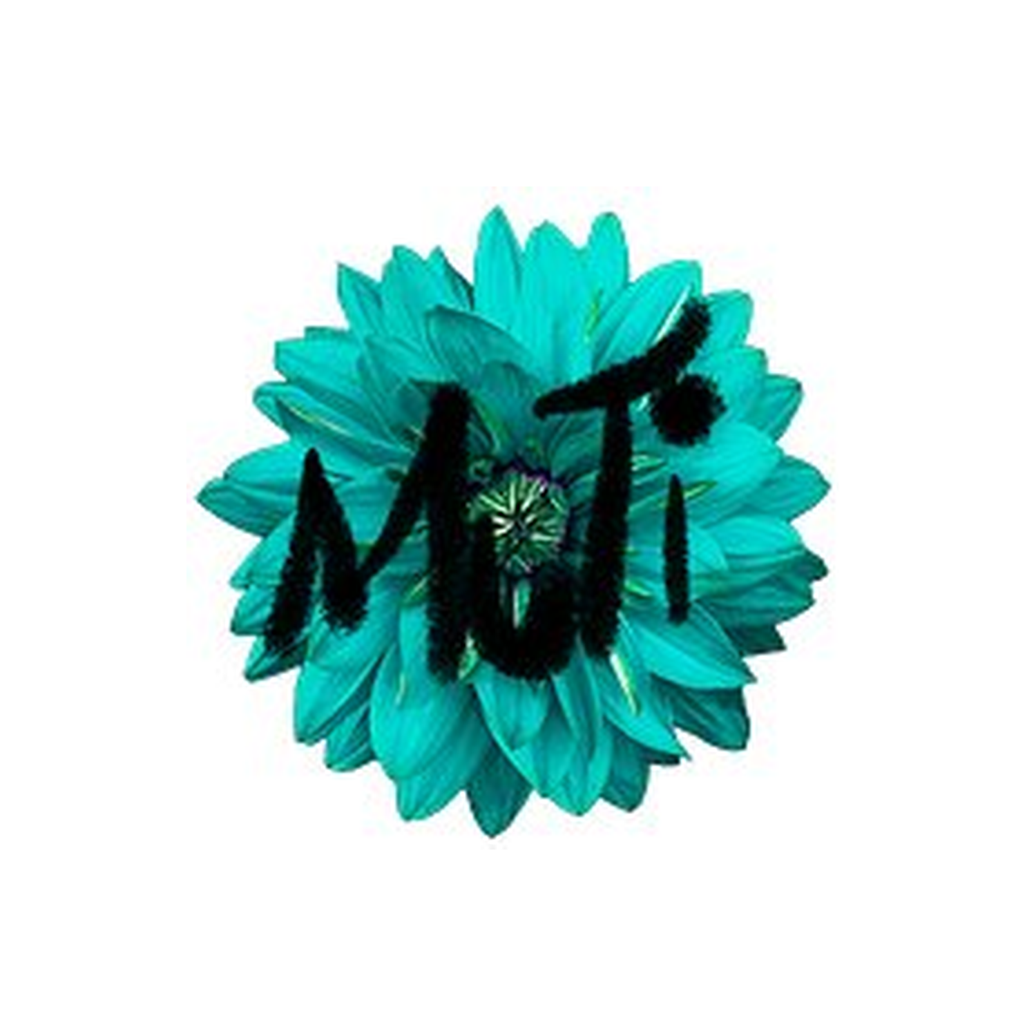 MUTI